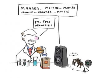 blog bd Humour noir araignée